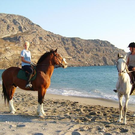 Alianthos Beach Hotel Plakiás Eksteriør bilde