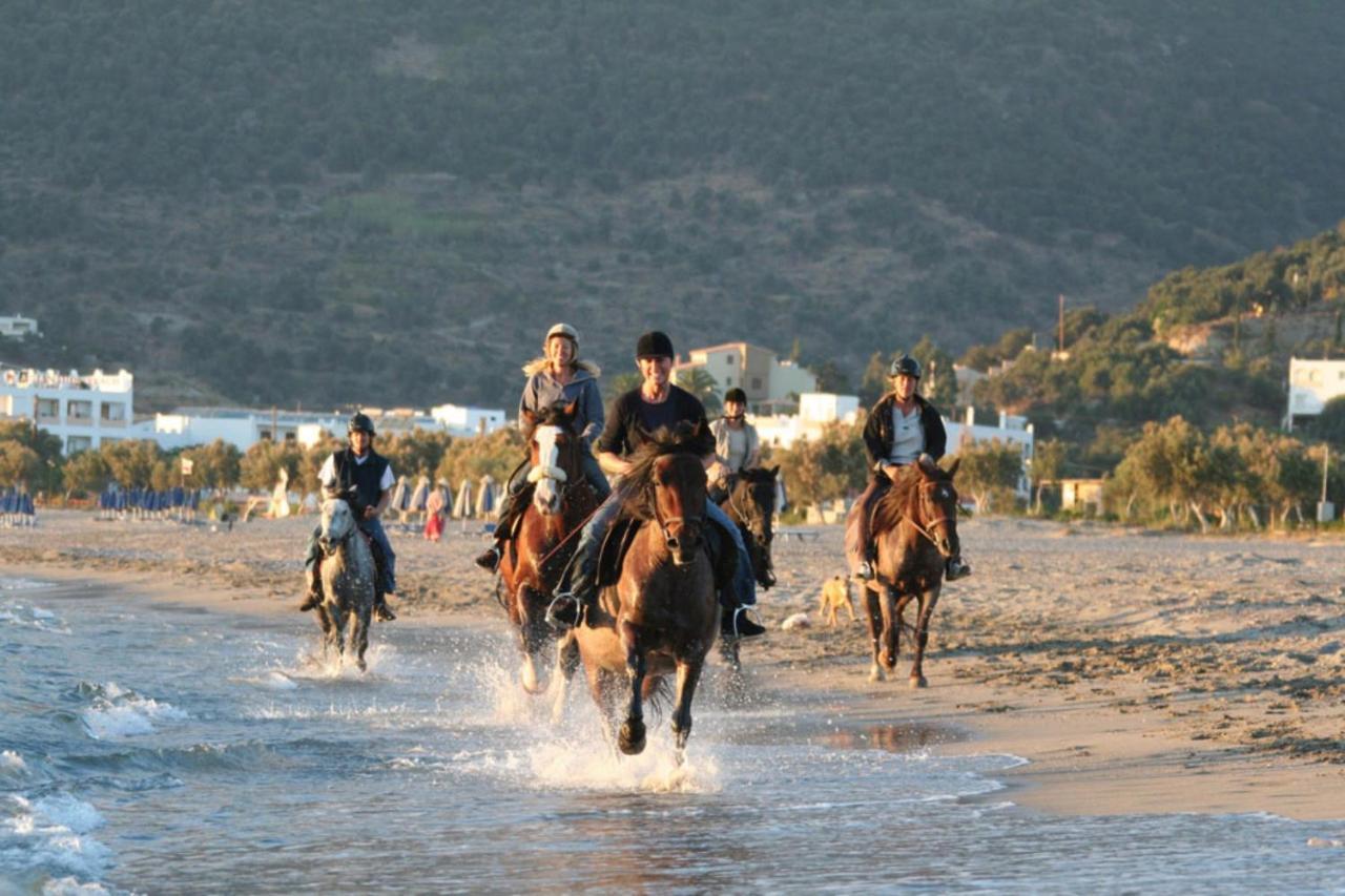 Alianthos Beach Hotel Plakiás Eksteriør bilde